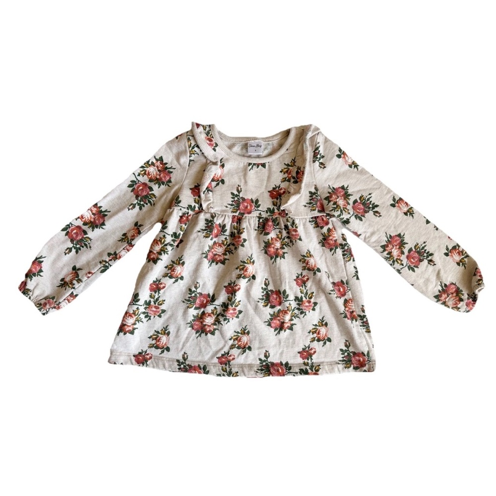 June Bug 6 Floral Sweatshirt Long Sleeve Cream Flared Crewneck Balloon Sleeve